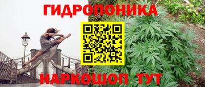 наркотики Гатчина