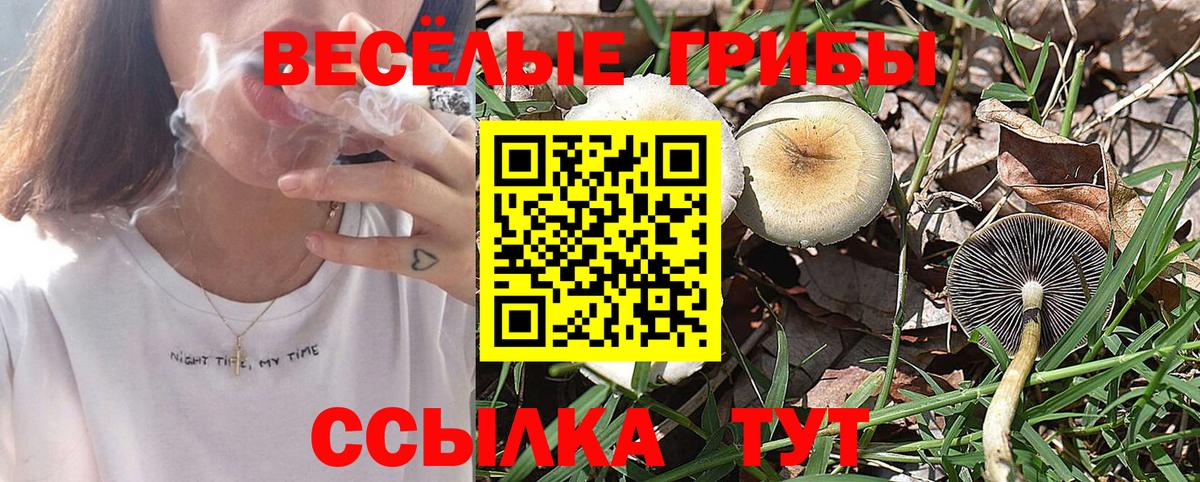 Мичуринск  Галлюциногенные грибы прущие грибы  Псилоцибиновые грибы ЛСД  Вход с VPN 
